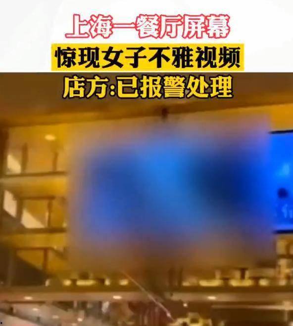 各大餐厅爆料视频播放大全,揭秘美食背后的秘密与故事